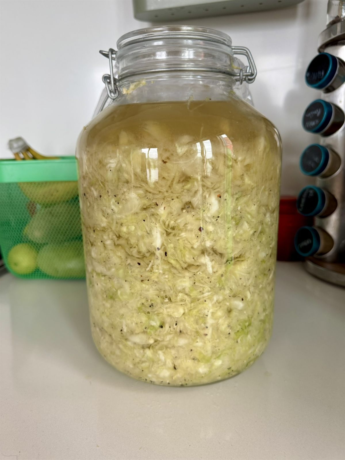Large glass jar of fermenting cabbage on a kitchen counter